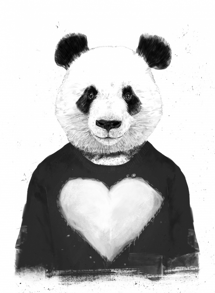 Lovely Panda from Balazs Solti
