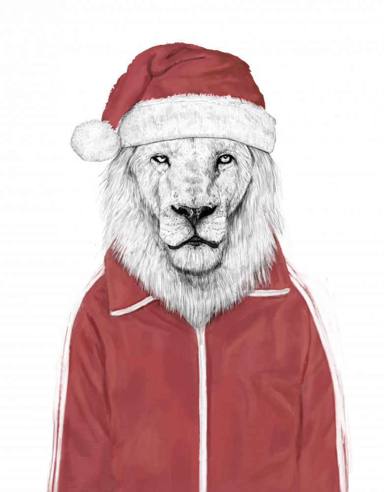 Santa lion from Balazs Solti