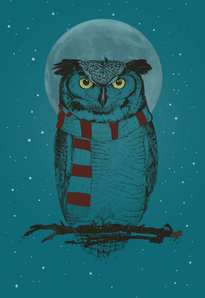 Winter owl from Balazs Solti