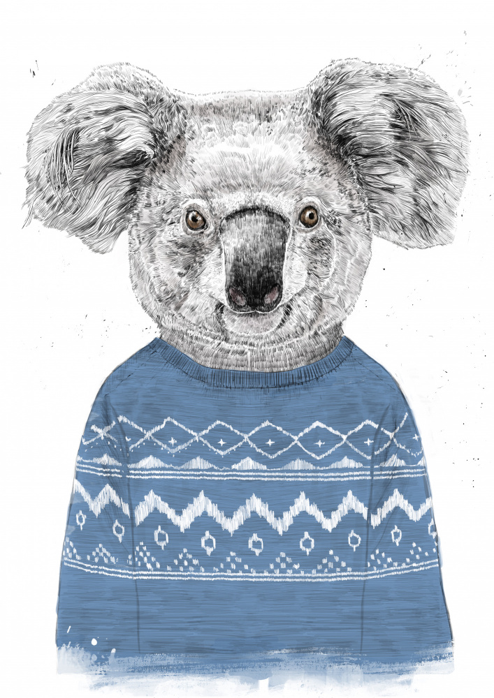 Winter koala (blue) from Balazs Solti