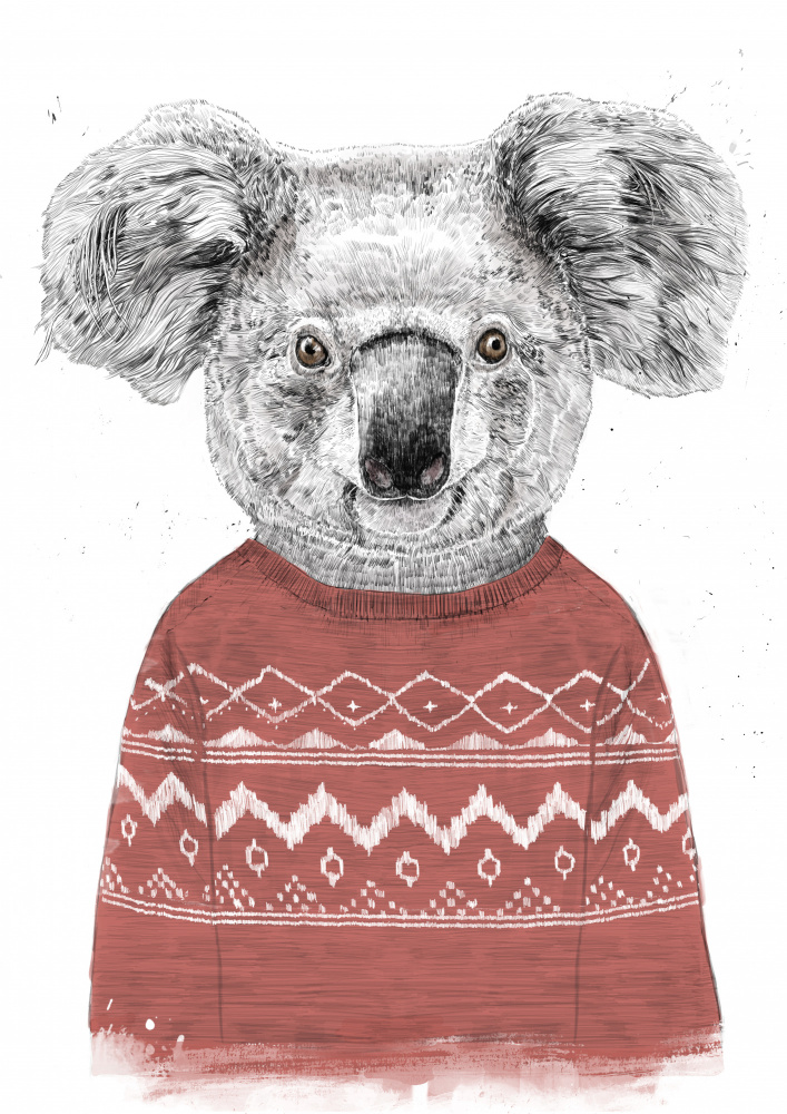 Winter koala (red) from Balazs Solti