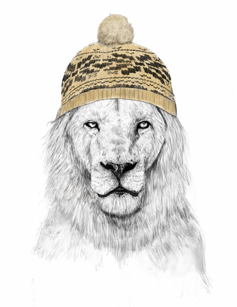 Winter Lion from Balazs Solti