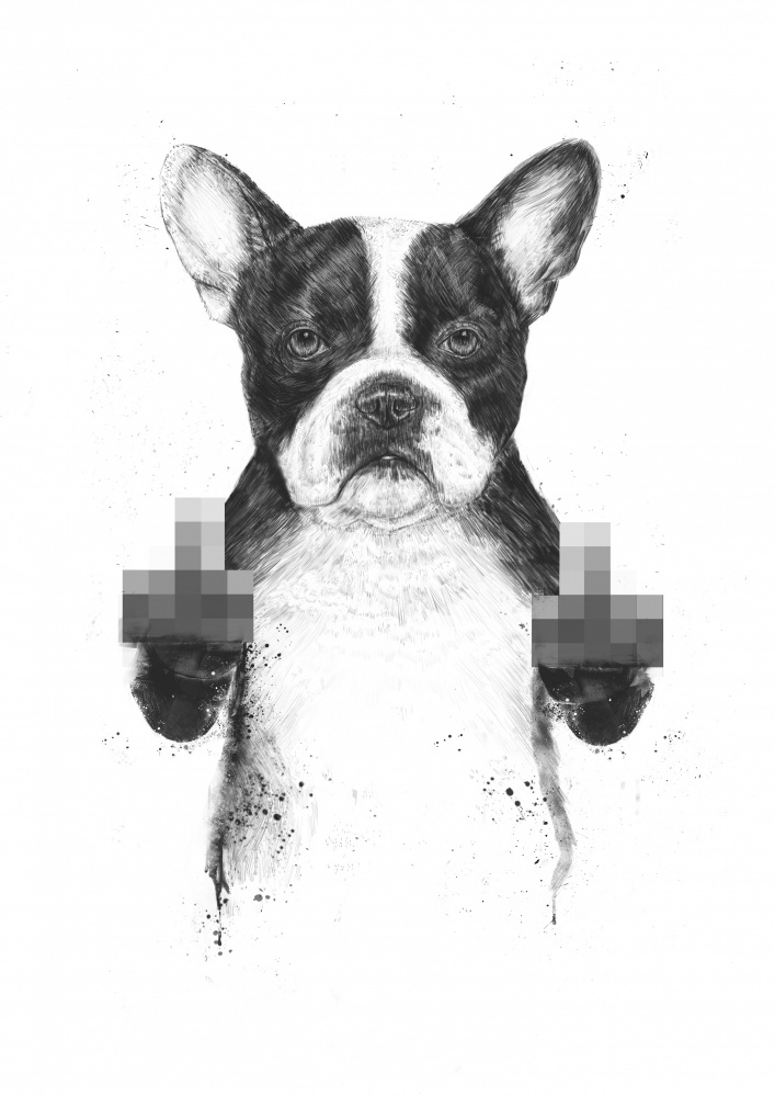 Censored dog from Balazs Solti