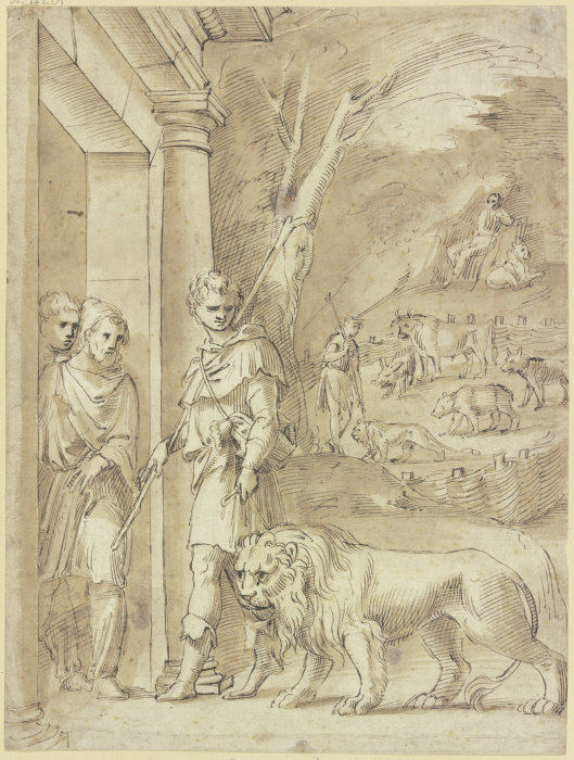 Androcles and the lion from Baldassare Peruzzi