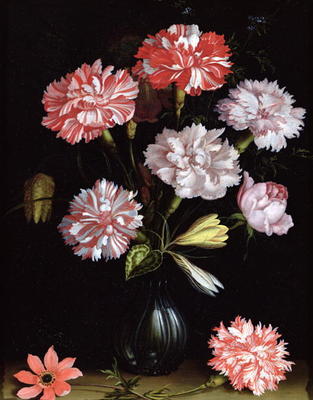 Floral Study: Carnations in a Vase (oil on panel) from Balthasar van der Ast