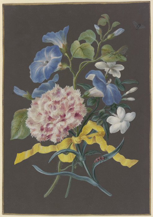 Blumengebinde mit rosa Nelke (Dianthus), blauer Winde (Convolvulus) und weißem Jasmin (Jasminum), mi from Barbara Regina Dietzsch