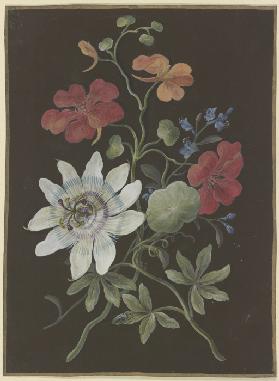 Gesteck aus Passionsblume (Passiflora), roter Kapuzinerkresse (Tropaeplum) und Vergißmeinnicht (Myos