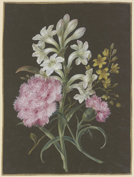 Gesteck aus Tuberose (Polyanthes), rosa Nelke (Dianthus) und gelber Blume mit Fliege from Barbara Regina Dietzsch