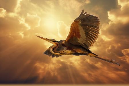 Sky heron