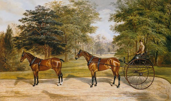 Two horses, harnessed in tandem, pulling a carriage from Benjamin Cam Norton