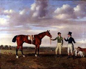 "Zinganee" held by Sam Chifney Junior (1786-1855) with the owner Mr. William Chifney, at Newmarket