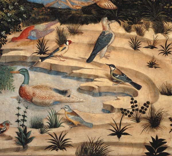 Landscape with birds from Benozzo Gozzoli