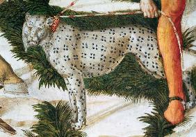 Leopard straining on a leash, detail from the Journey of the Magi cycle in the chapel