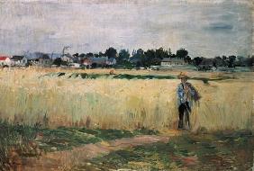 In the Wheatfield at Gennevilliers