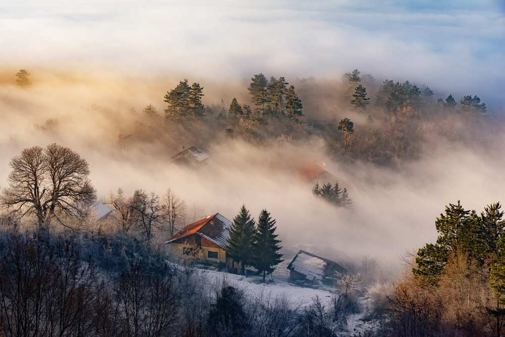 Misty winter days from Bez Dan