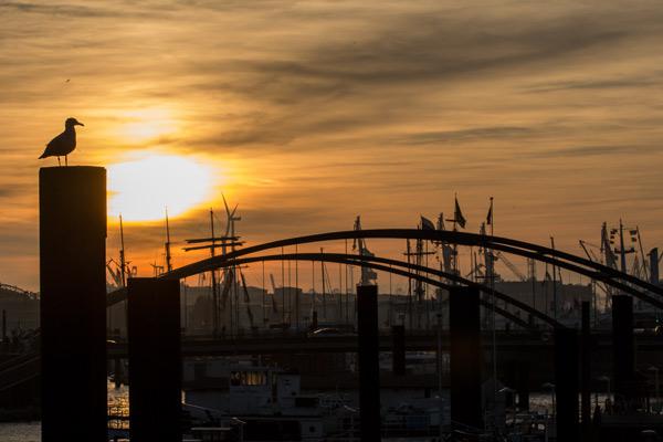 Moewe Hafen (Hamburg)