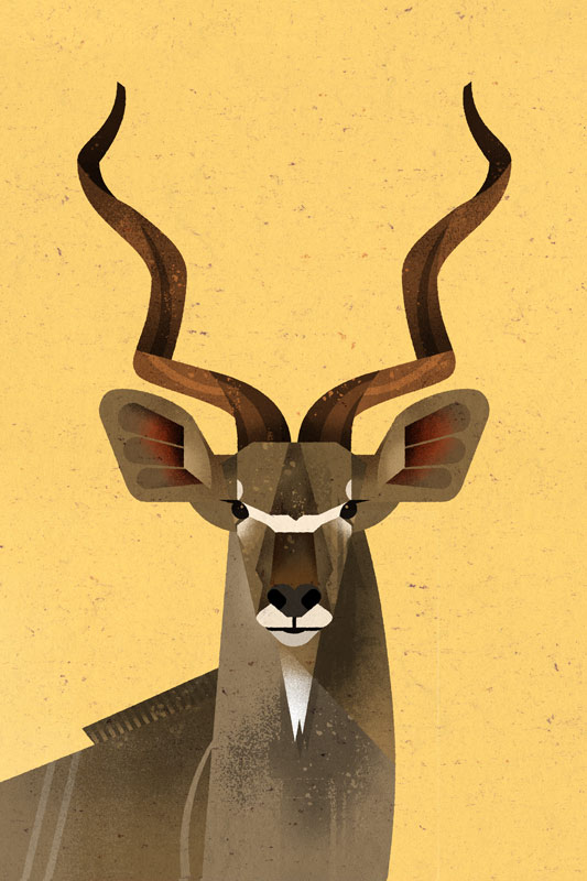 Big Kudu from Dieter Braun