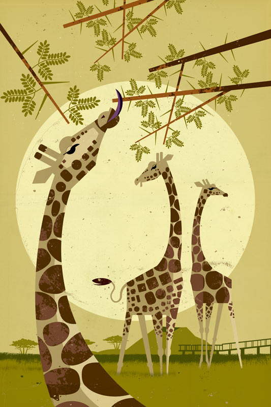 Giraffes from Dieter Braun