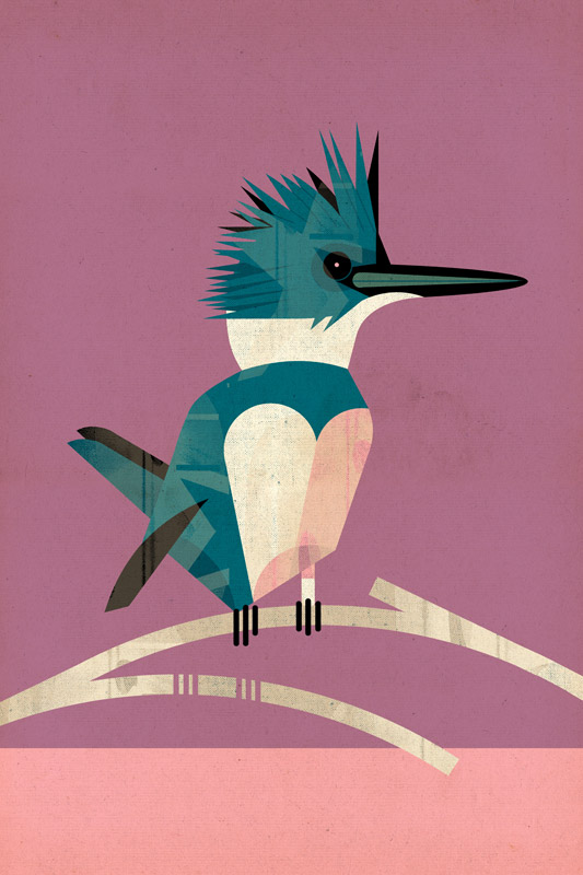 Kingfisher from Dieter Braun