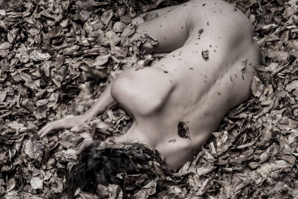 Female nude in the foliage from Amelie Breslauer