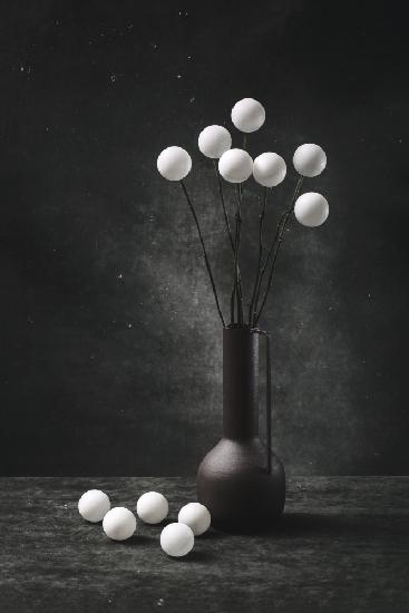 Still life with a bouquet of white balls