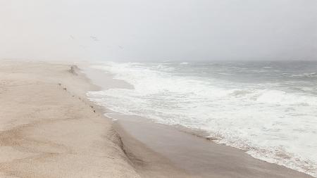 Mist over São Jacinto beach