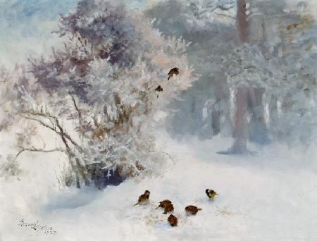 Birds Feeding in the Snow