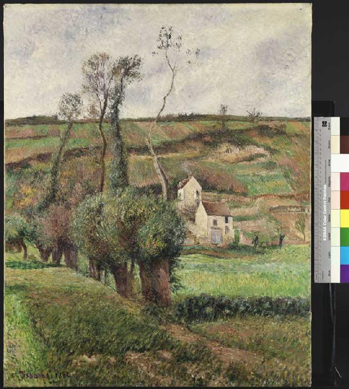 Die Kohlfelder in Pontoise from Camille Pissarro