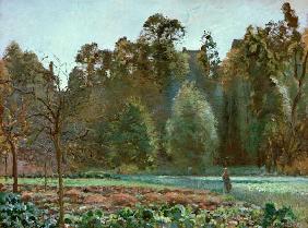 The cabbage field, Pontoise