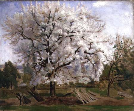 Apple Tree in Blossom from Carl Fredrik Hill