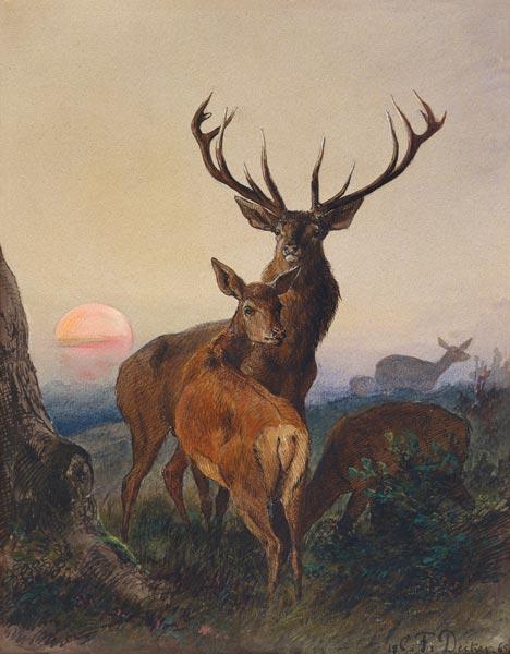 Ein Hirsch und ein Reh bei Sonnenuntergang