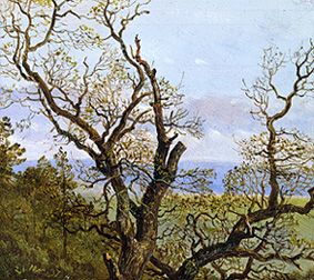 Gnarled oaks in spring from Carl Gustav Carus
