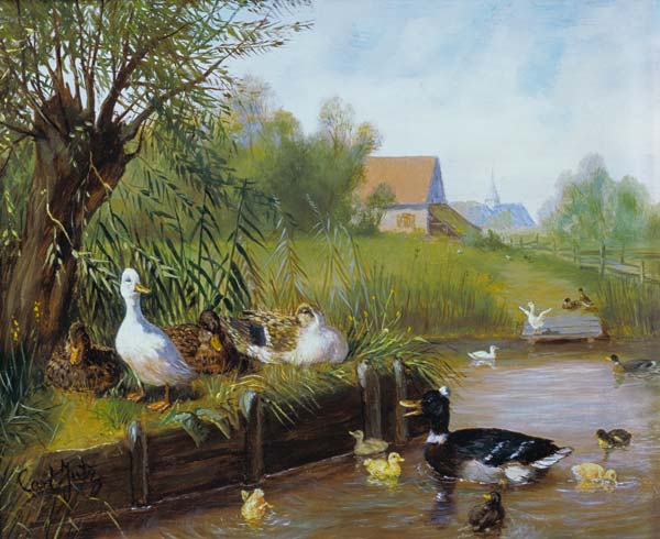 Ducks at the riverbank from Carl Jutz
