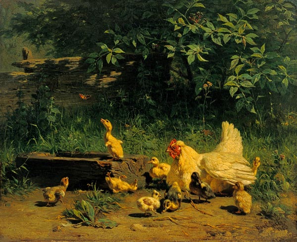 Hen with chicks and young ducks from Carl Jutz