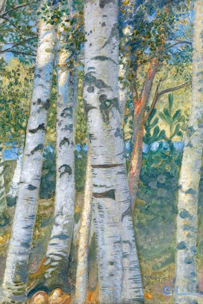 Birch trunks from Carl Larsson