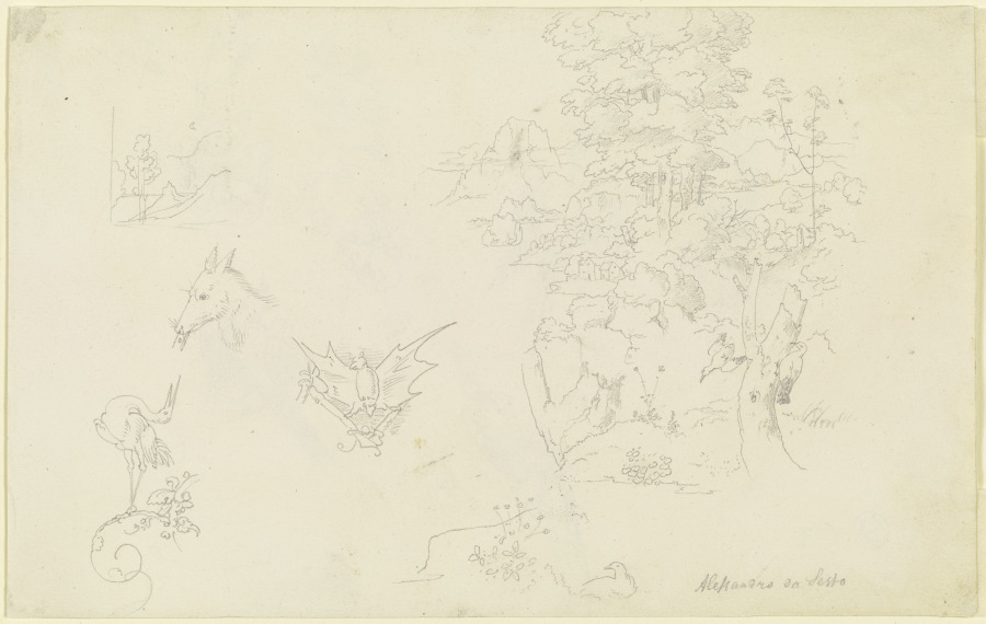 Tiere mit Ranken; eine Fledermaus; ein kleiner und ein größerer Landschaftsausschnitt mit zwei Vögel from Carl Philipp Fohr