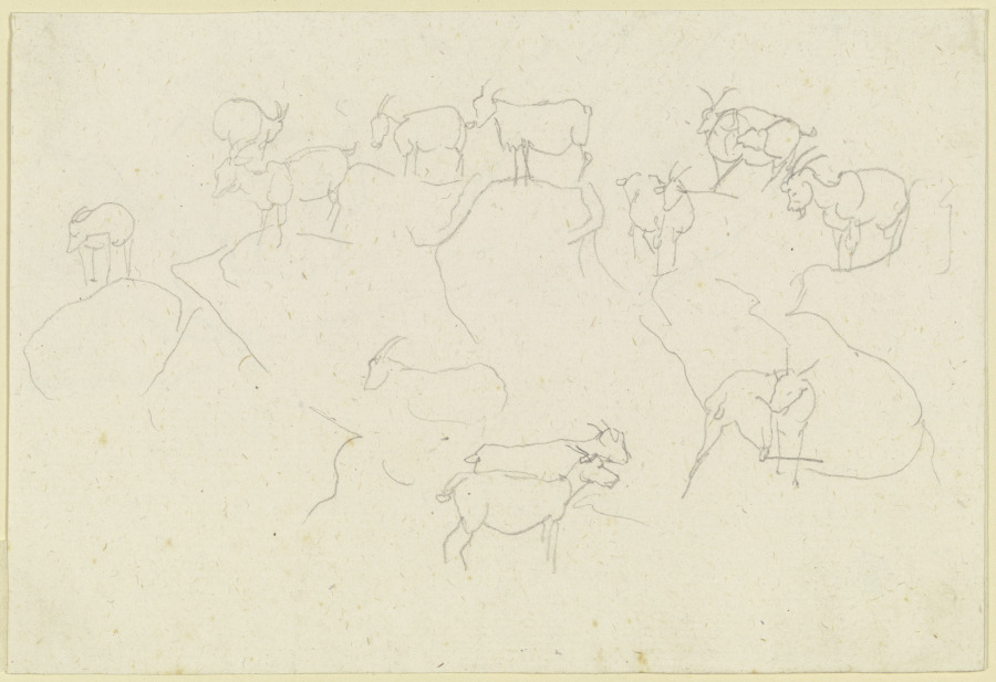 Herd of goats on rocks from Carl Philipp Fohr