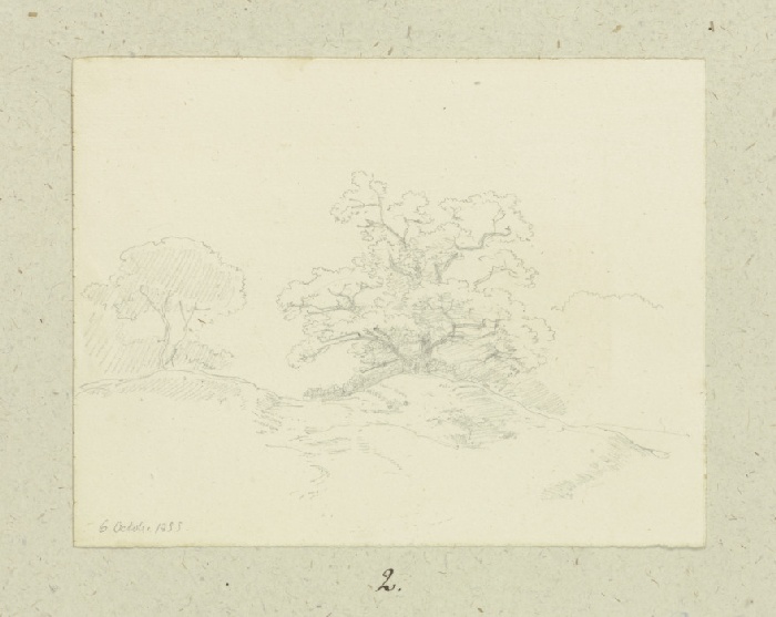 Alter Baum auf einer Erhebung from Carl Theodor Reiffenstein