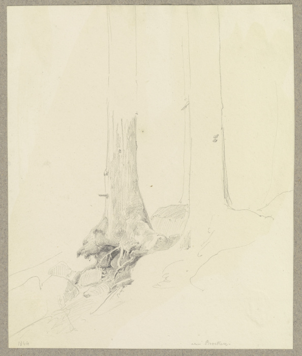 Bäume am Hang, der linke Baum mit freiliegenden Wurzeln from Carl Theodor Reiffenstein