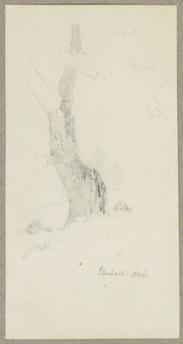 Tree near Eberbaach from Carl Theodor Reiffenstein