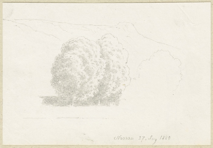 Group of trees near Nassau from Carl Theodor Reiffenstein