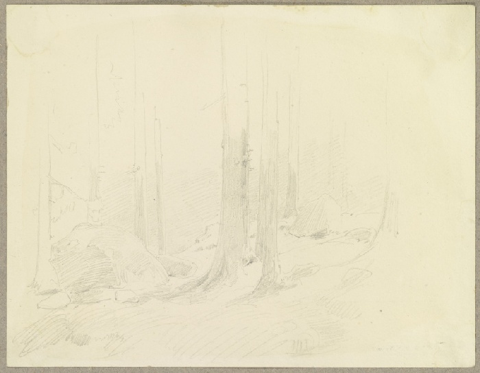 Blick in einen Wald, am Boden große Steine from Carl Theodor Reiffenstein