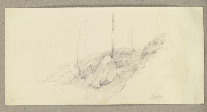 Gesteinsbrocken in einem Waldstück from Carl Theodor Reiffenstein