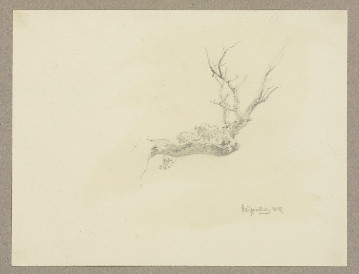 Bare tree branch from Carl Theodor Reiffenstein