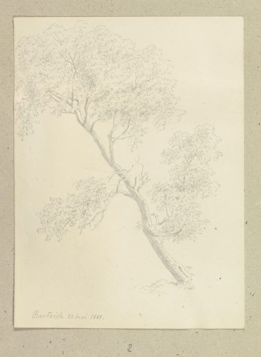 Schief gewachsener Baum in Bertrich from Carl Theodor Reiffenstein