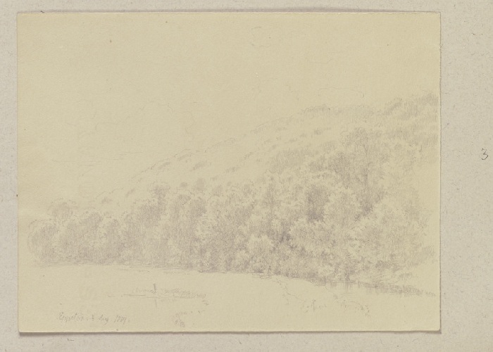 Forest slope from Carl Theodor Reiffenstein