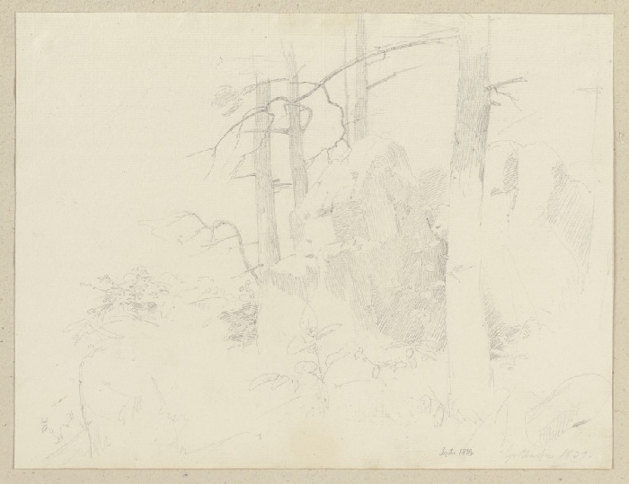 Forest landscape with rock from Carl Theodor Reiffenstein