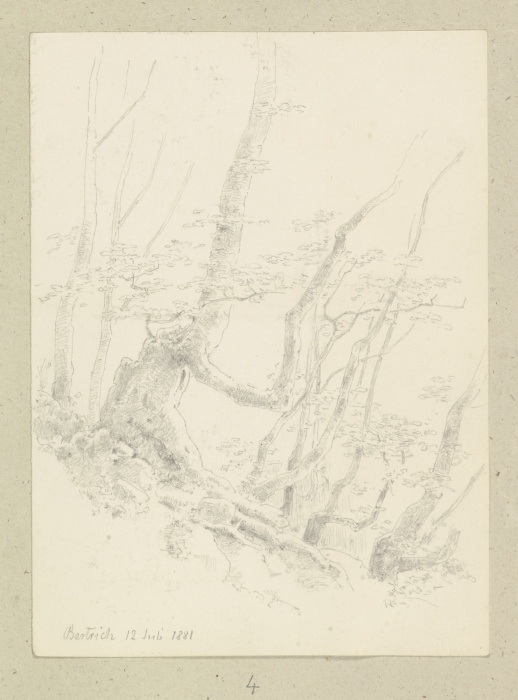 Forest section on a slope from Carl Theodor Reiffenstein