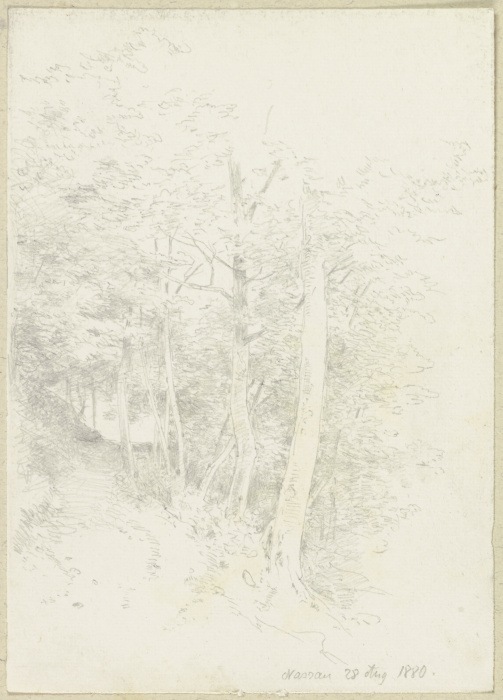 Forest path at the slope from Carl Theodor Reiffenstein