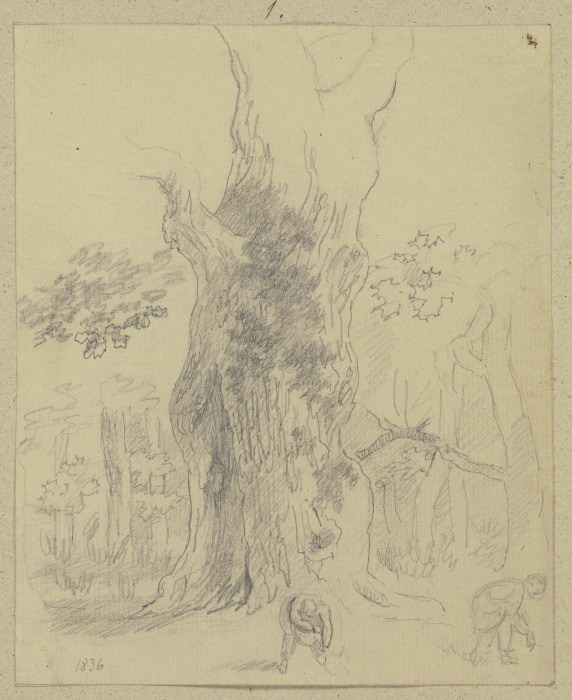 Zwei Personen, vor großem Baum Waldfrüchte auflesend from Carl Theodor Reiffenstein